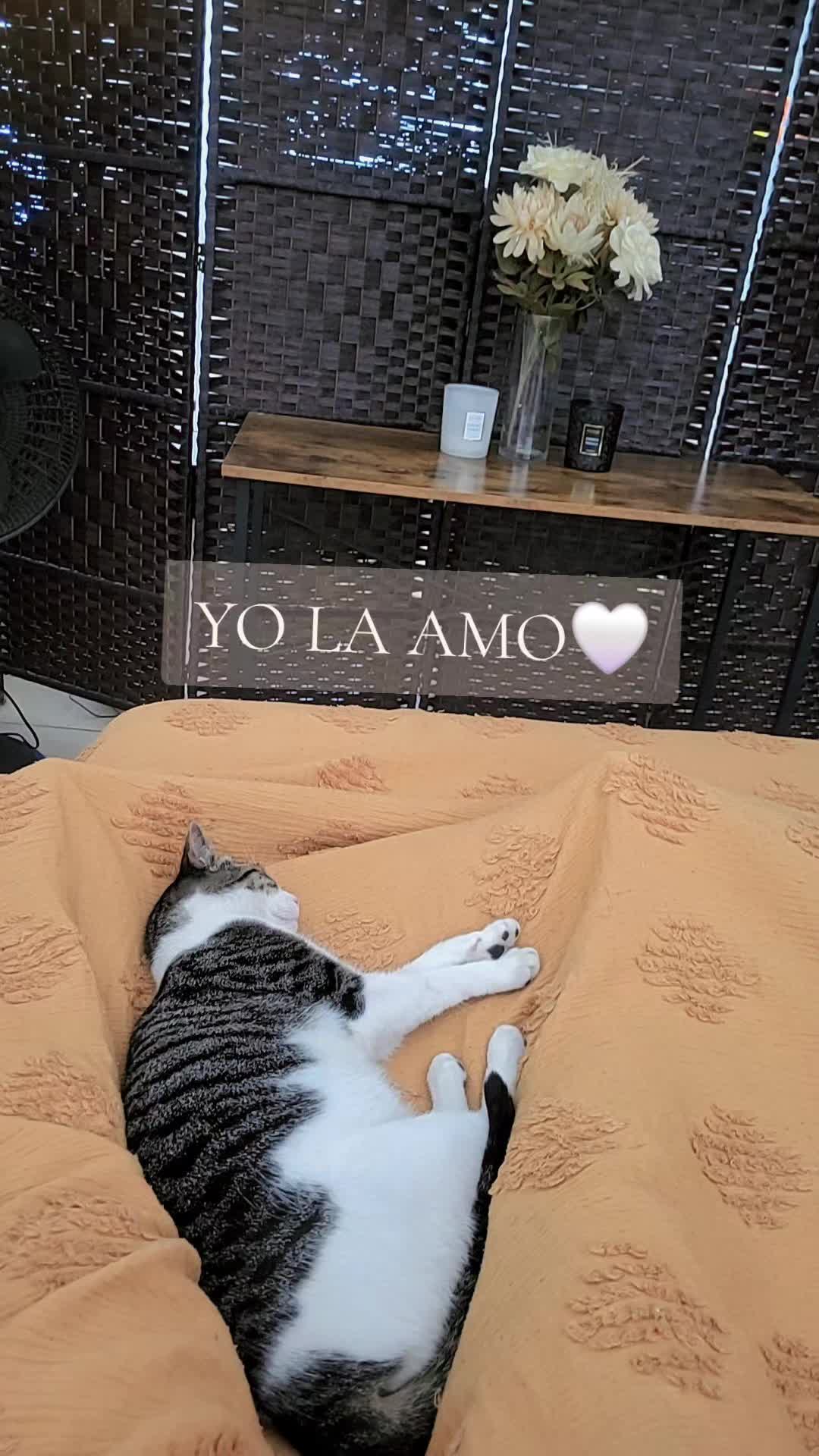 @🇺🇾🧡Vivi🧡🇺🇾