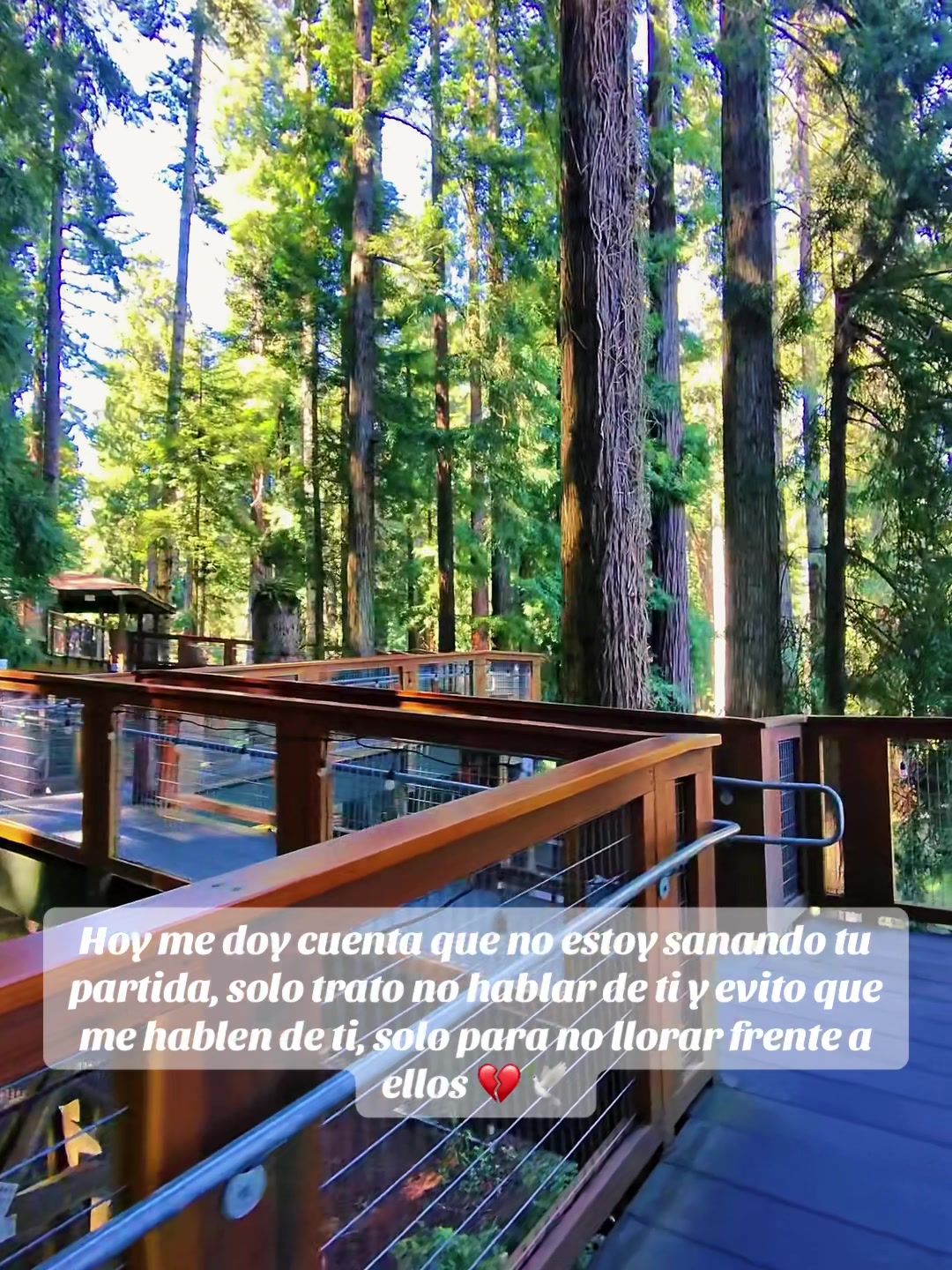 @Maria Martinez