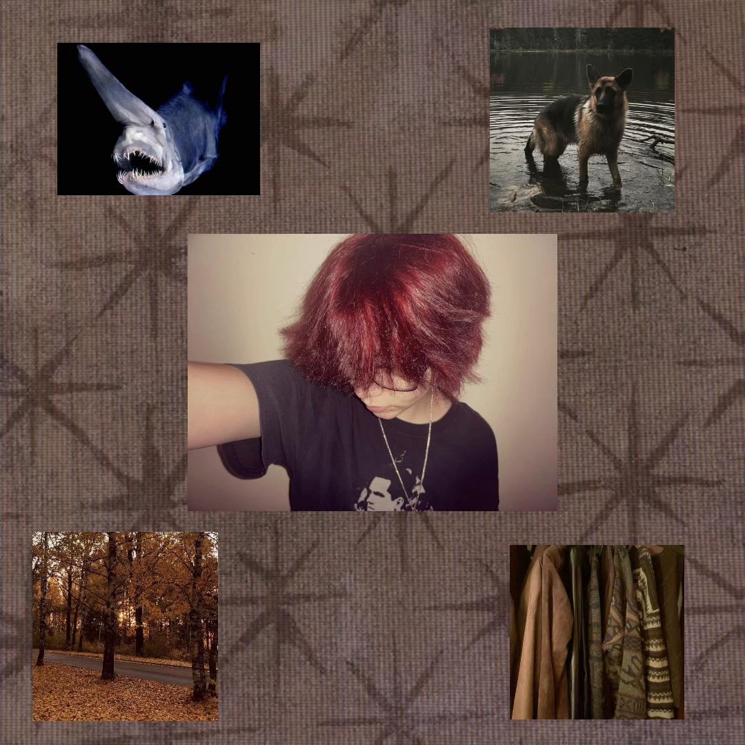 @🗡˚•˚Lost˚•˚🗡