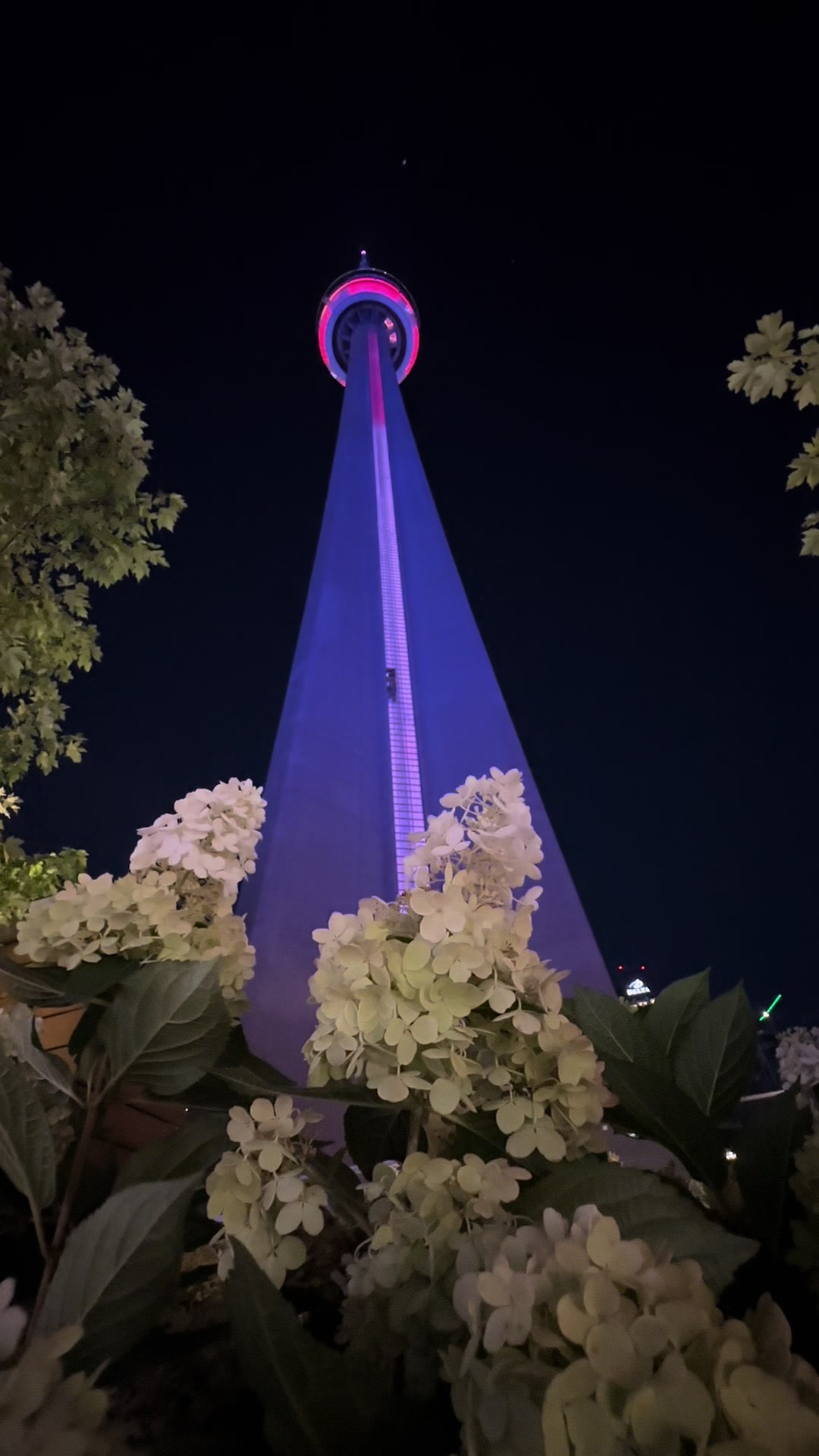 @Canada Vibes 🇨🇦🍁
