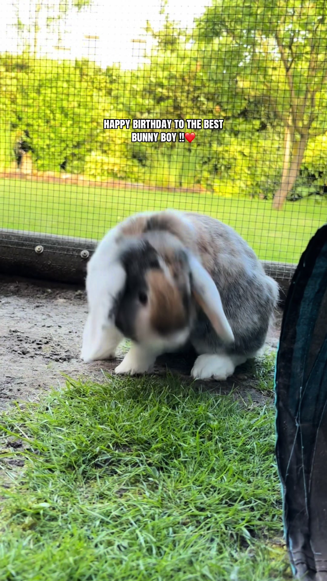@𝐩𝐟𝐨𝐭𝐞𝐧_𝐛𝐚𝐧𝐝𝐞