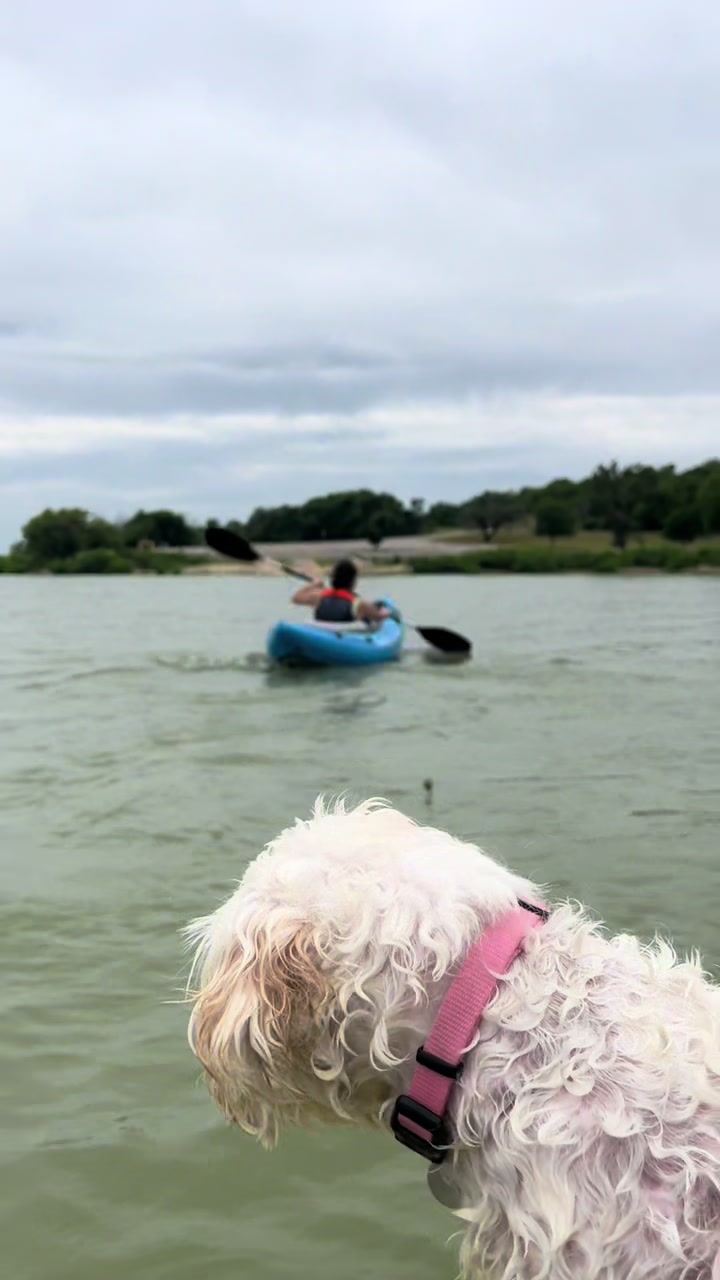 @AZUL🐶🥰