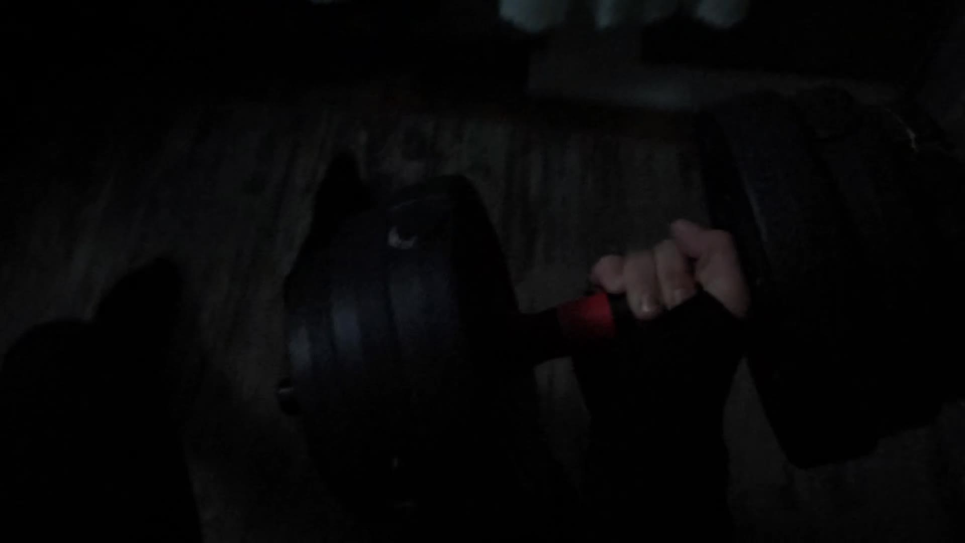 @Ruvi723