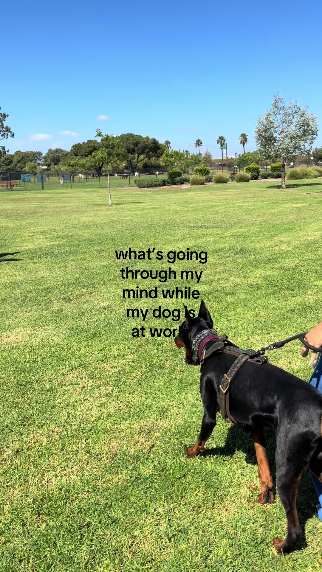 @gia