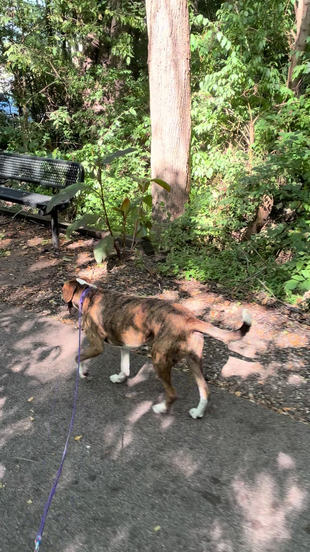 @Hikingwithstanley