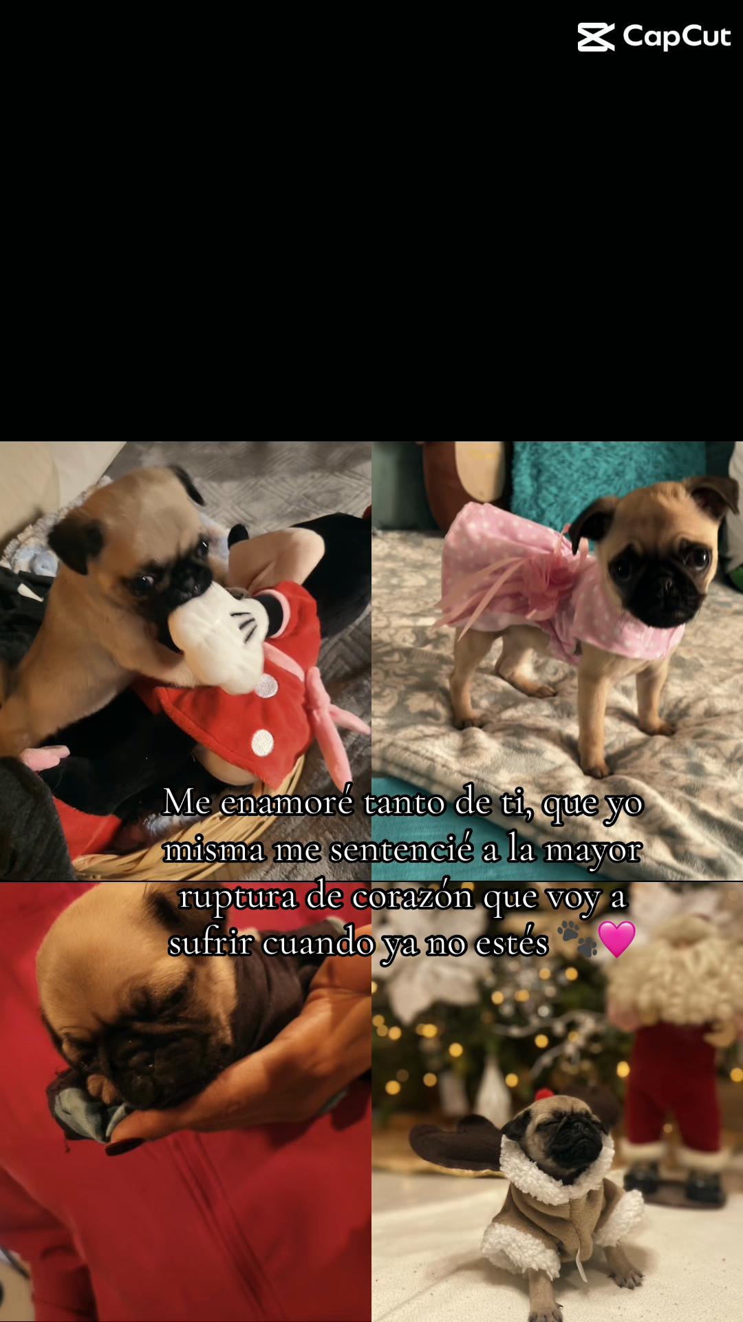 @Frida Miranda