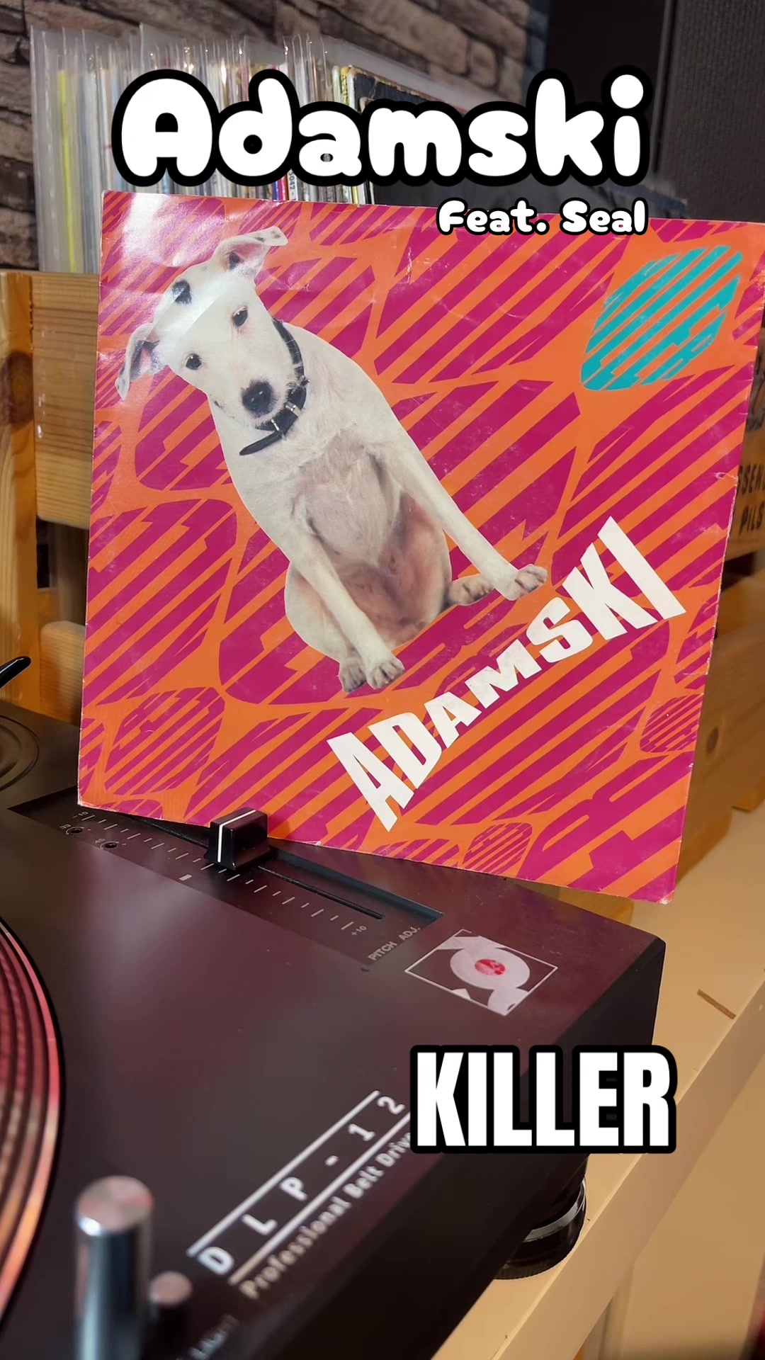 @Pascalamiteiten