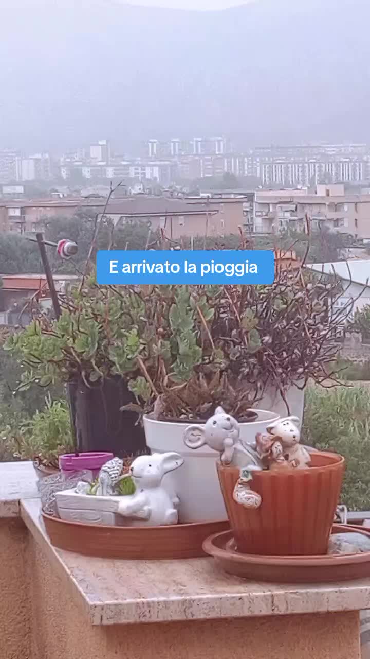 @Rita 68