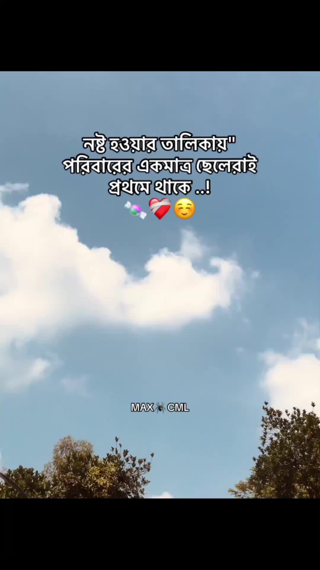 @MAX 🕷️ CML