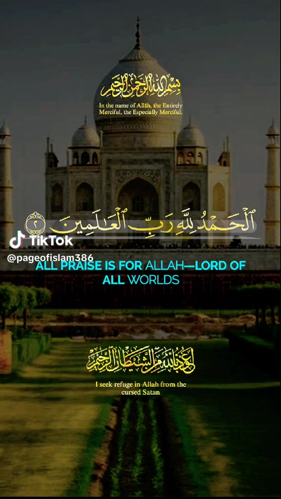 @user9116008158843