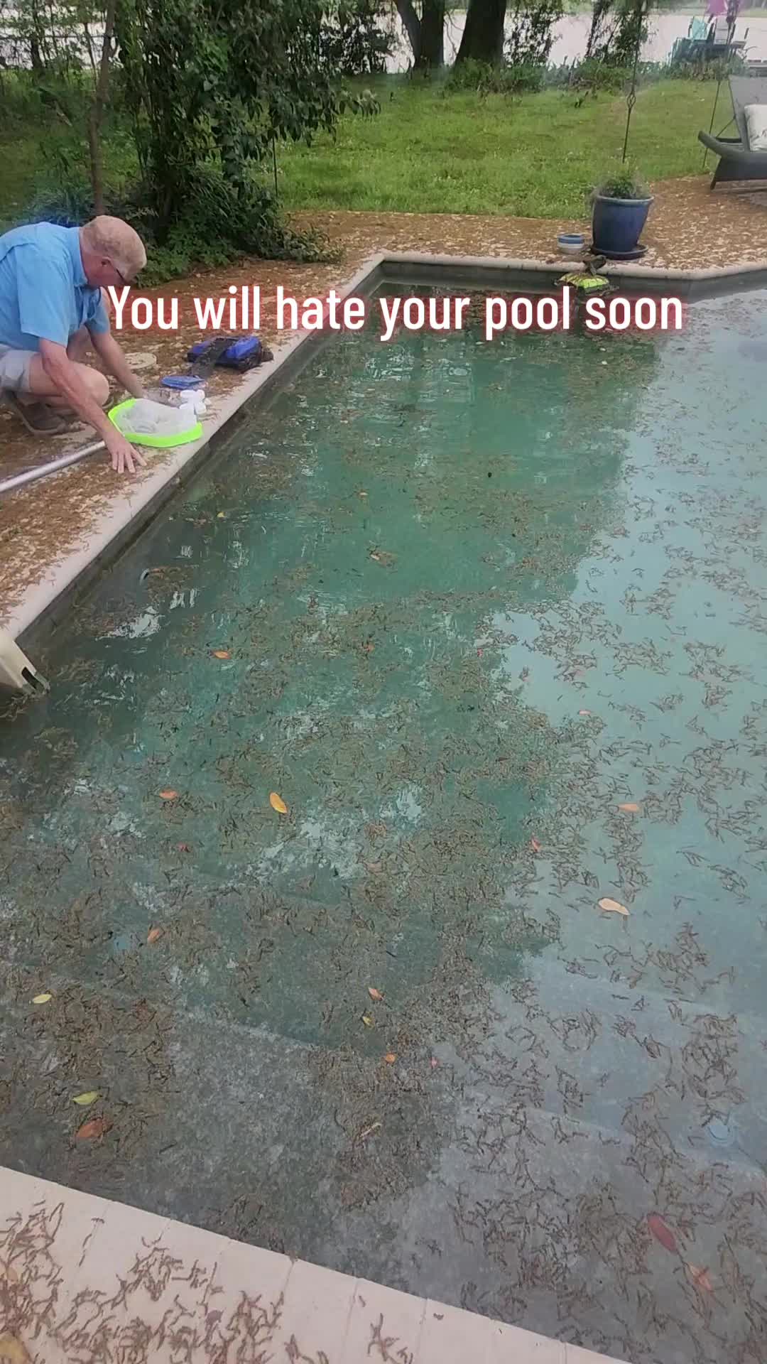 @Rex | BR Pool Pro