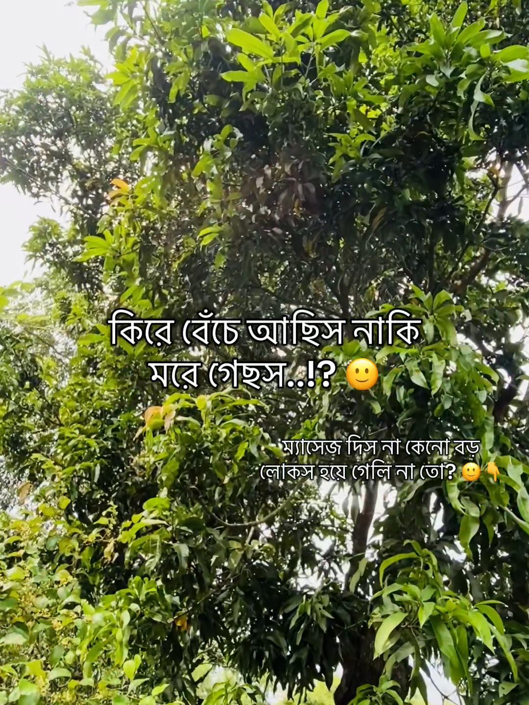 @টিক_টকি 🐸