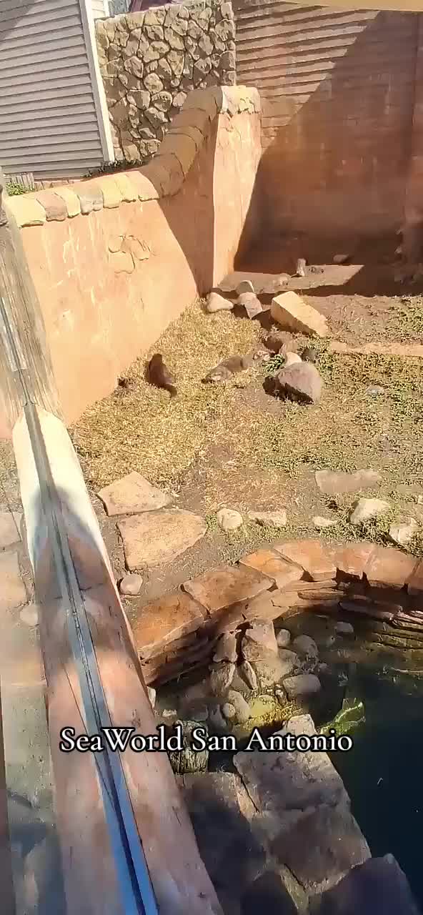@Hubertcampbelltravels