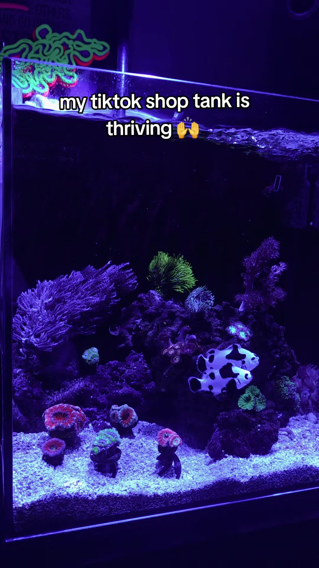 @Mamie Marie Sharpe 🐠🫧