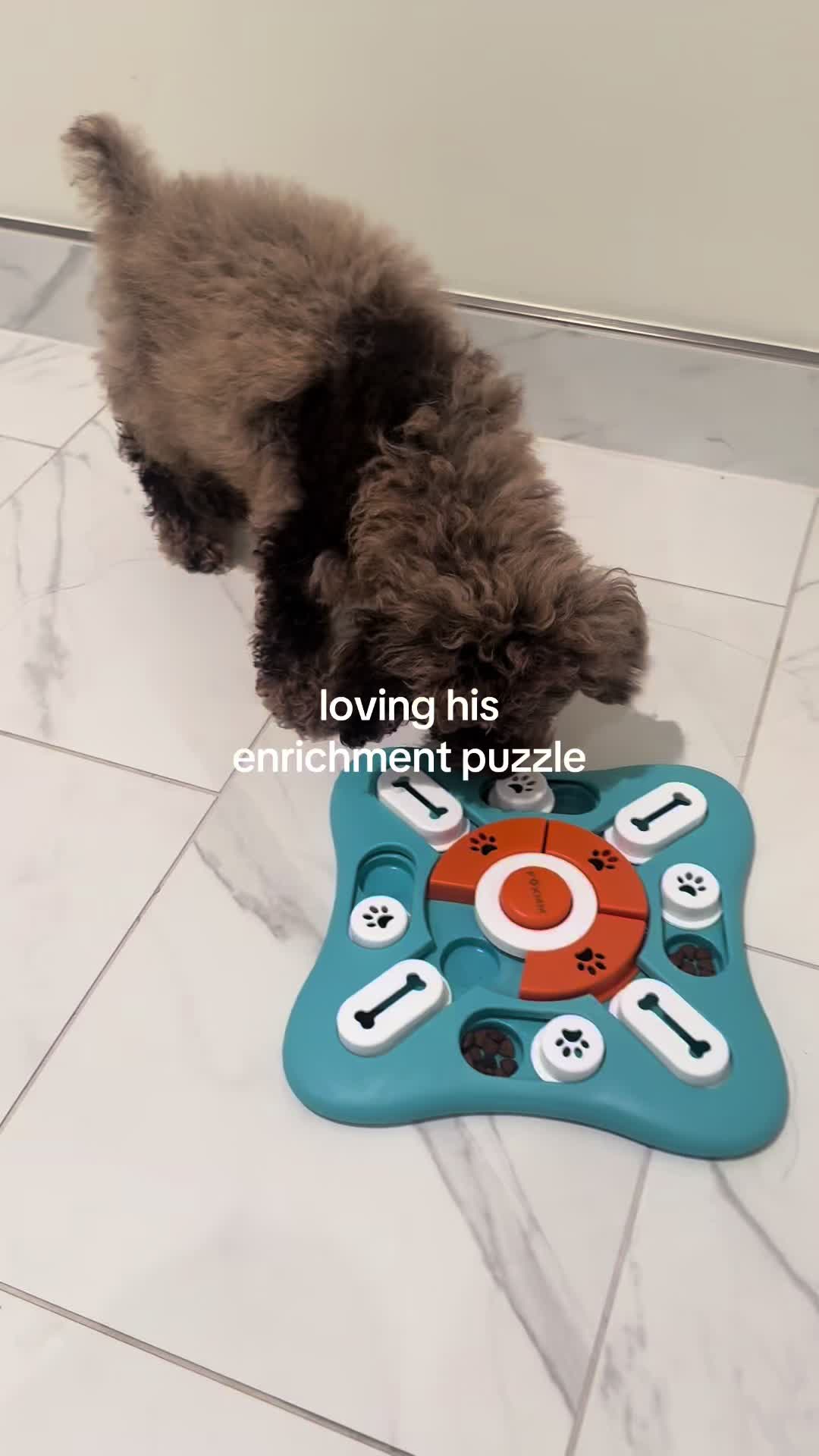 @Amber