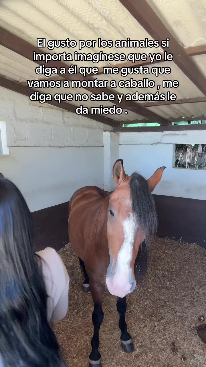 @Eli López 🦜 team periquito 🫀