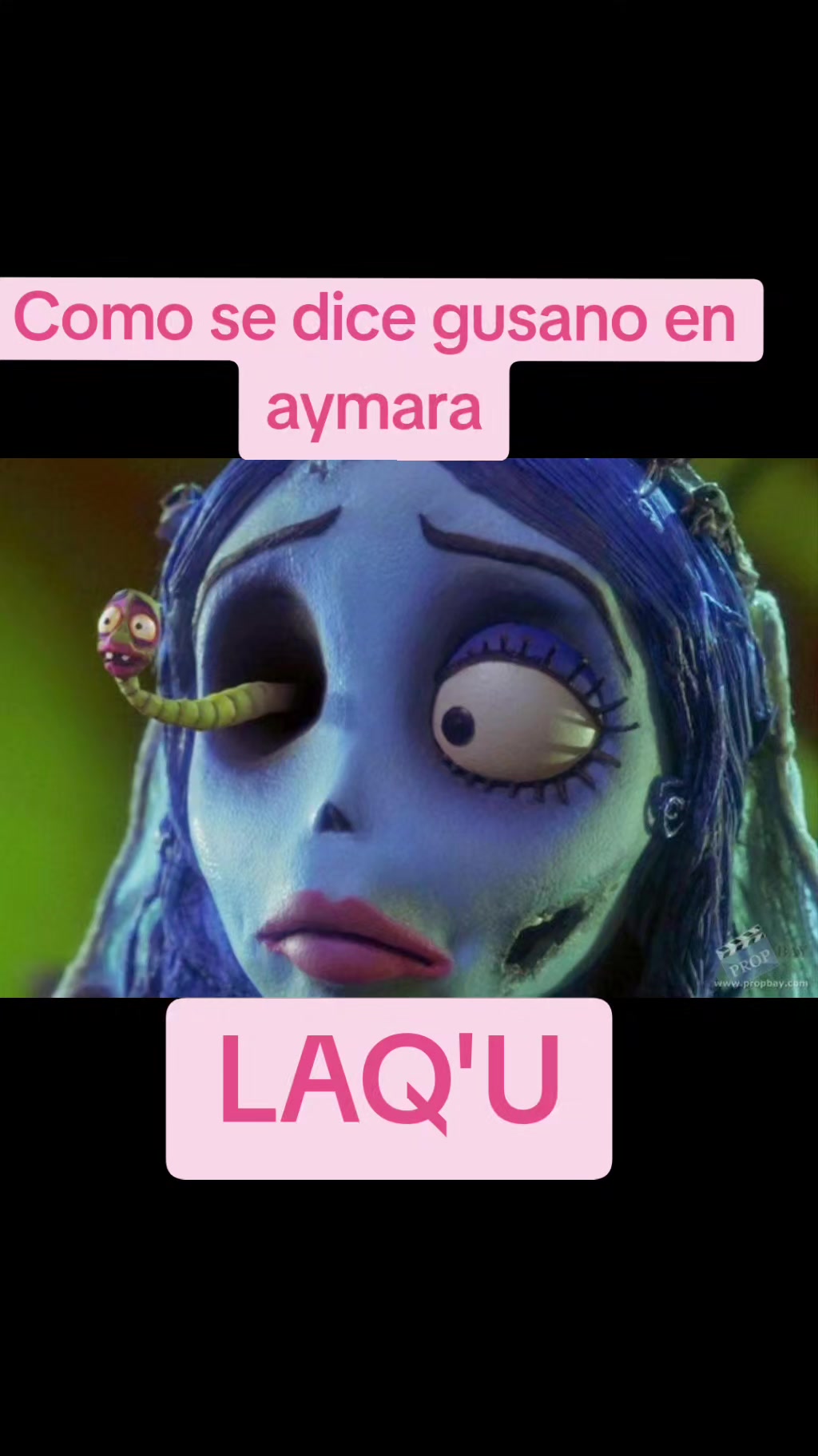 @Rosa Rosa