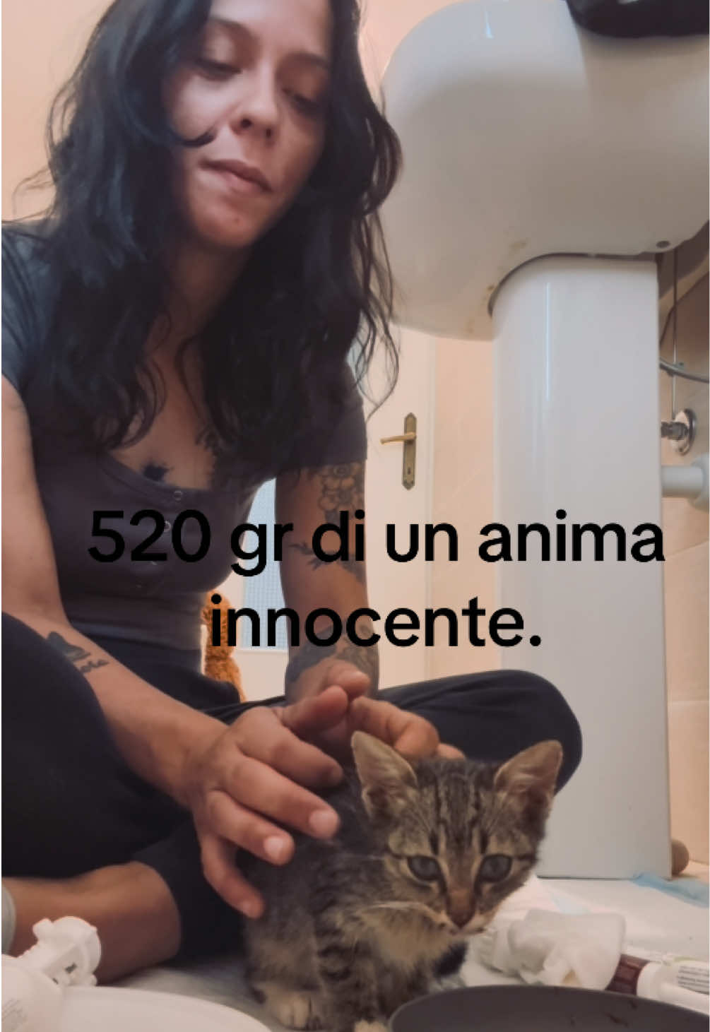 @Melissa merlino