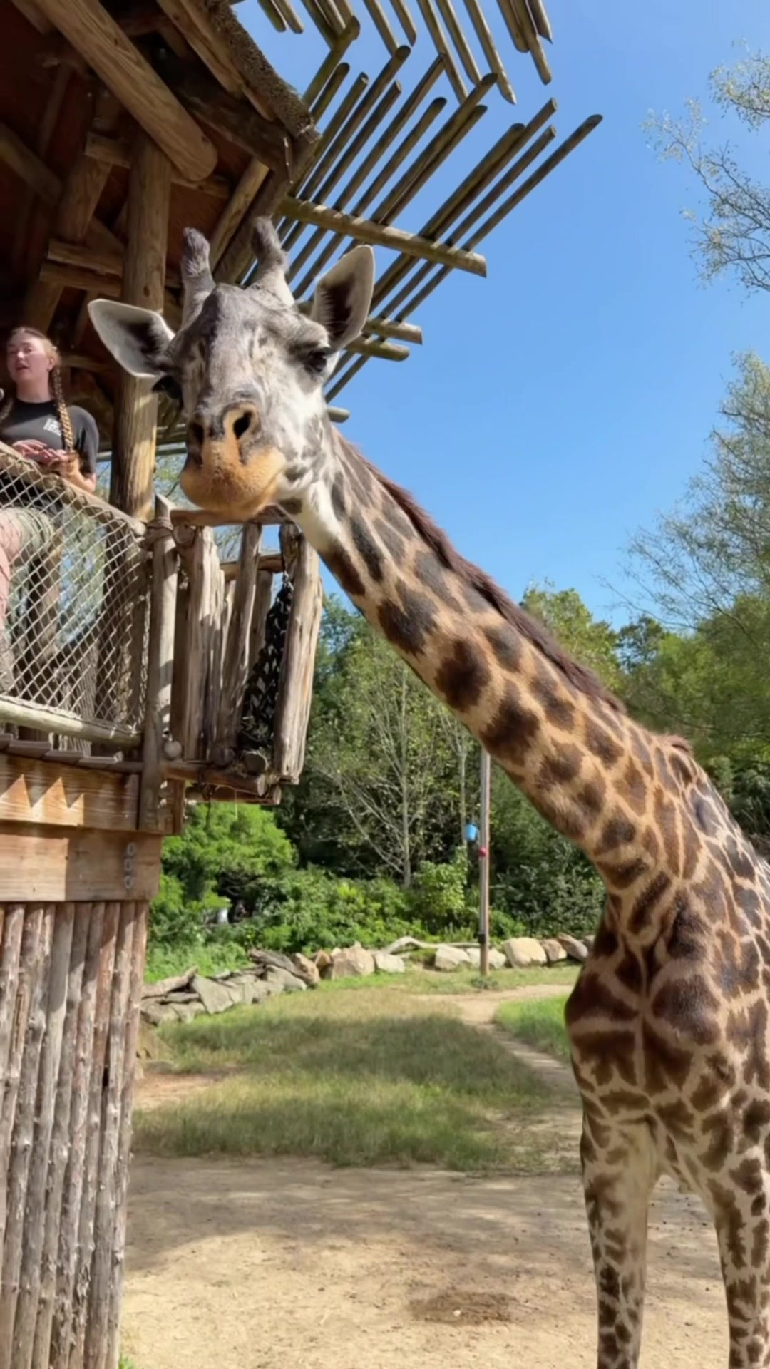 @Cincinnati Zoo