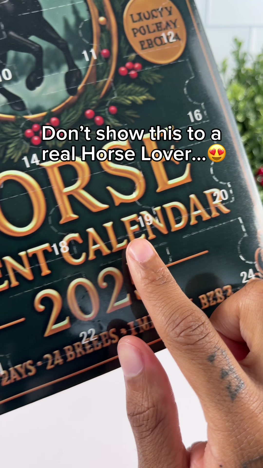 @Gallop Days
