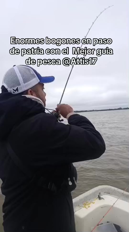 @AnzuelerosPy 🇳🇱🎣