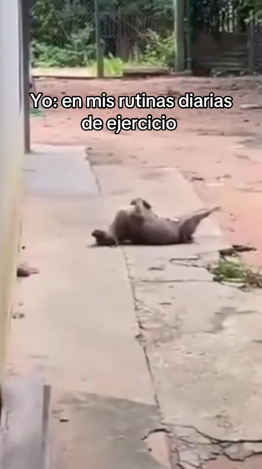 @Entretenido 💫💎💎