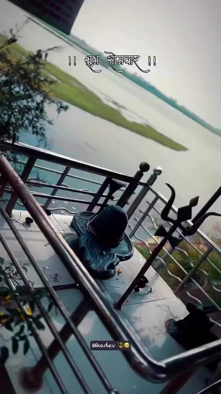 @G⃨o⃨o⃨g⃨l⃨i⃨e⃨7⃨4⃨7⃨