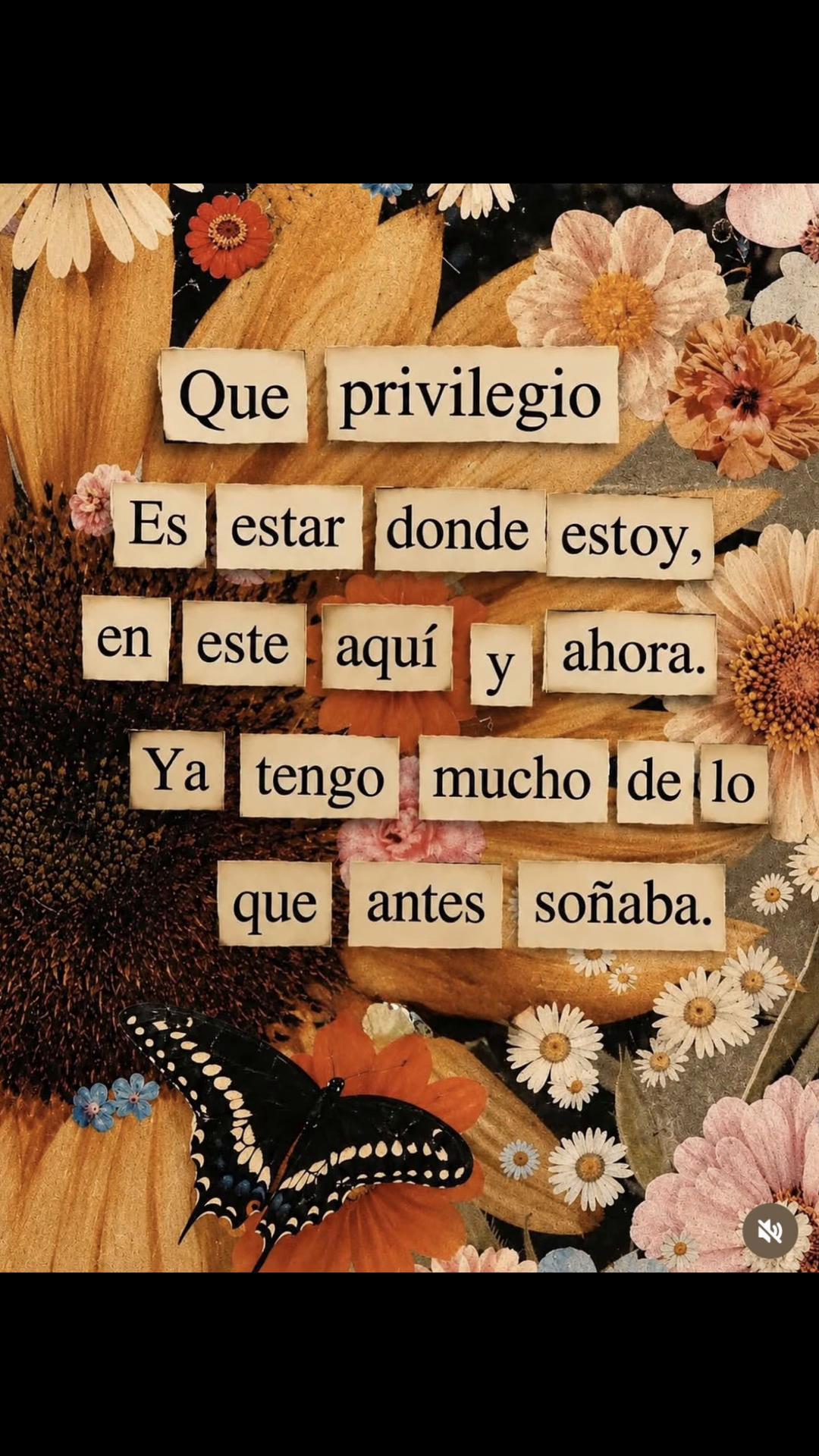 @flavialalunatina
