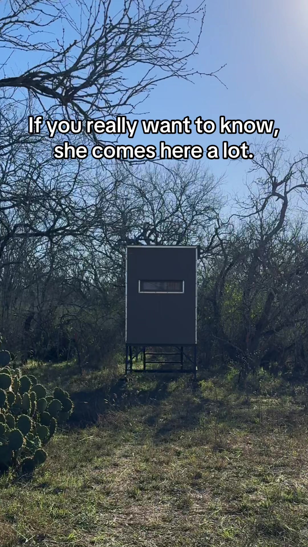 @Abby
