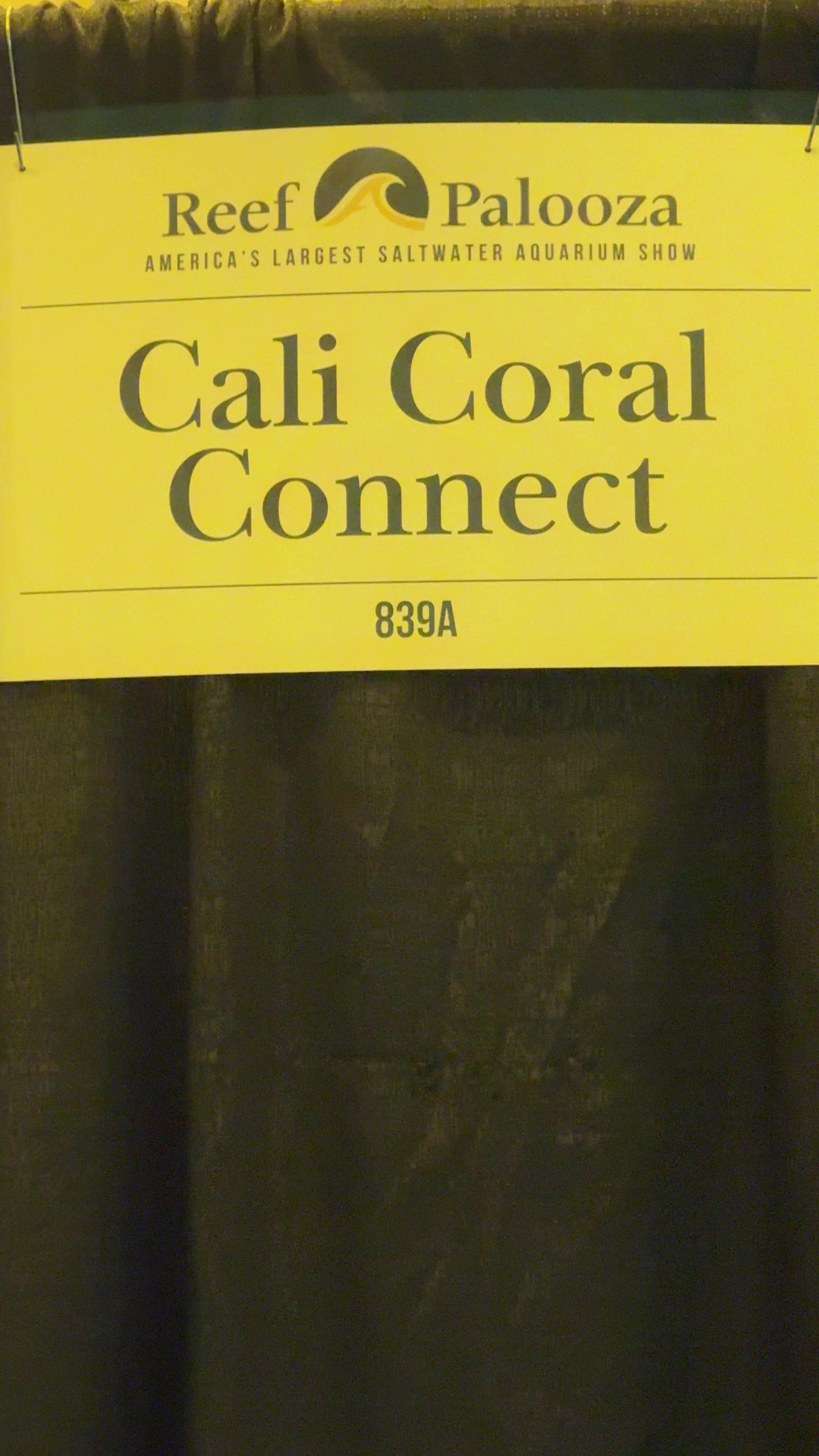 @Cali_Coral_Connect_hxa