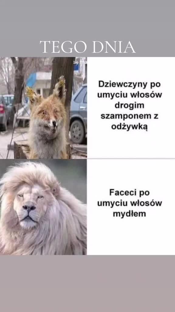 @wulgarna_81