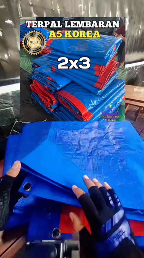 @vieagnur