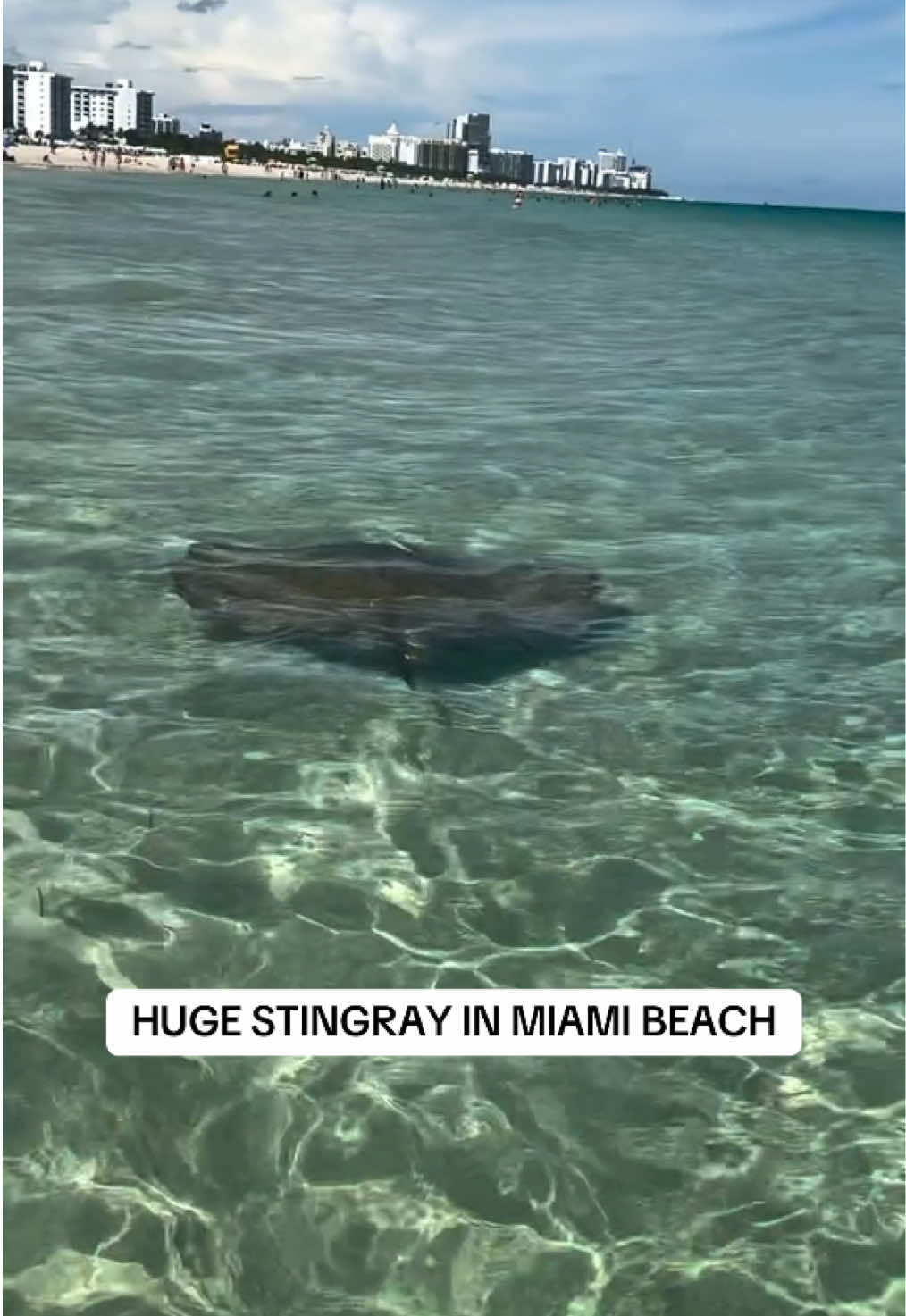 @Miami | Miami Beach