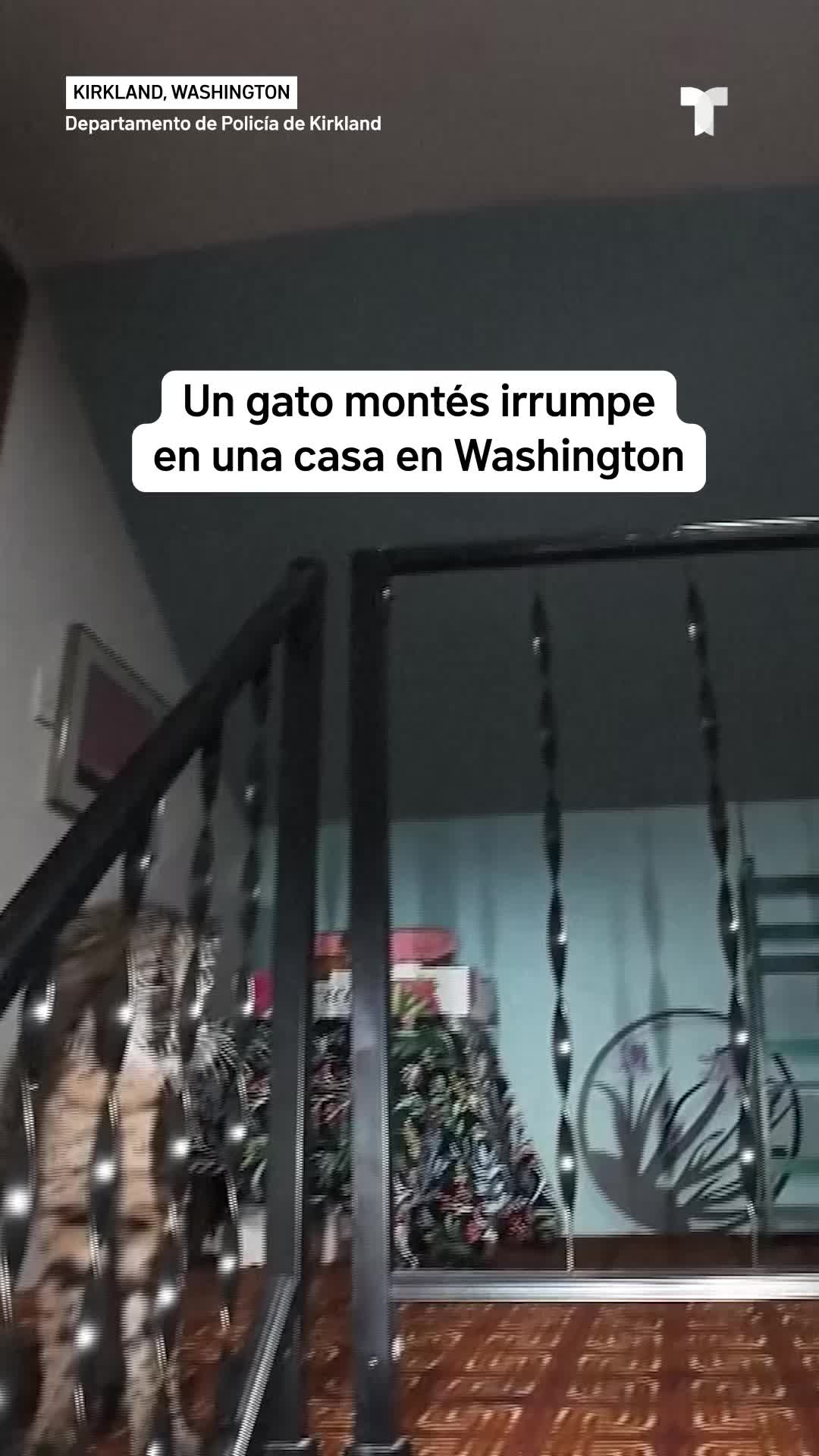 @telemundosandiego