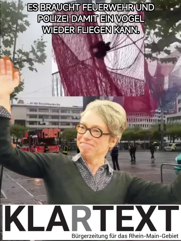 @ChrisQuerdenken