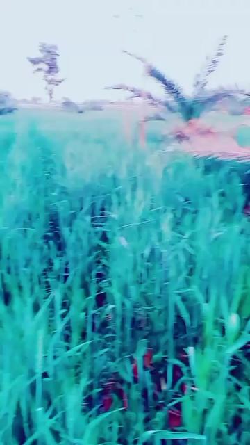 @khakr