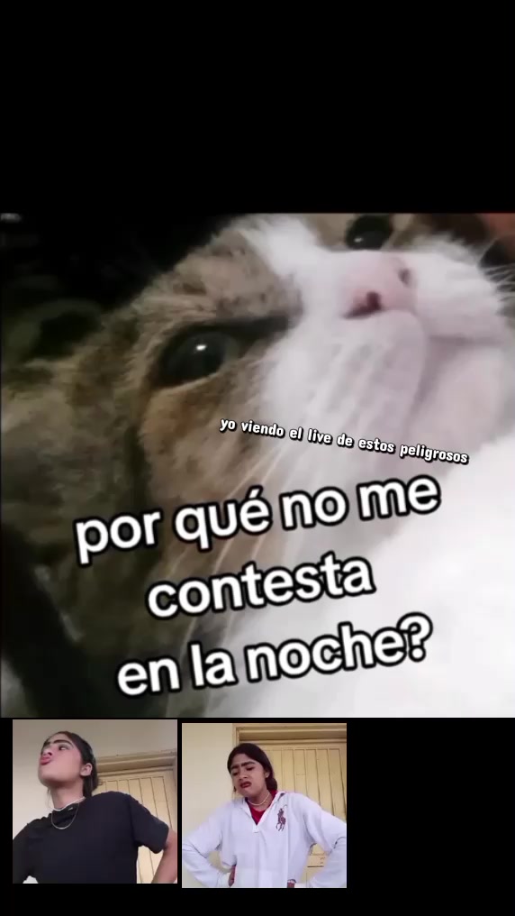 @amandin Sofía👑