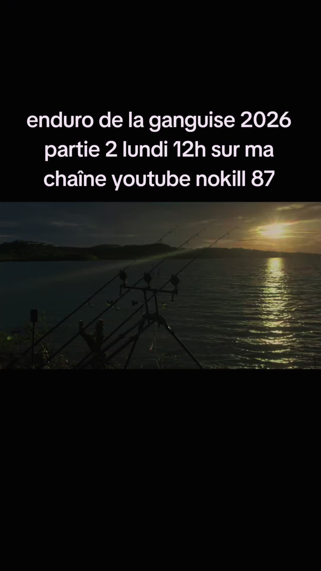 @nokill 87