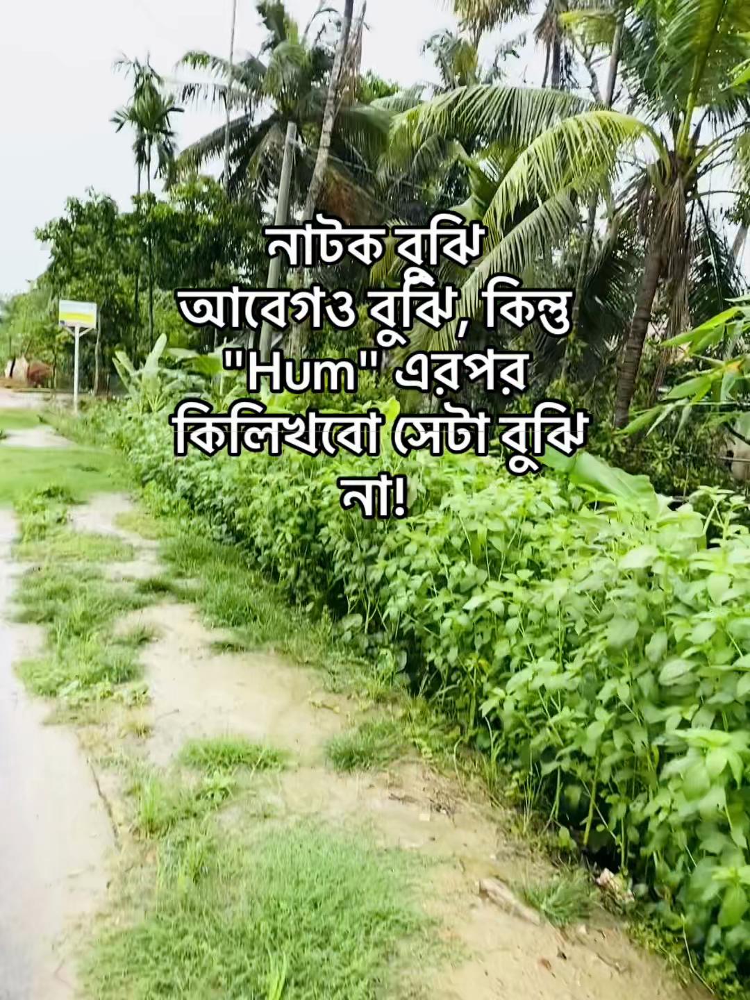 @টিক~টিকি