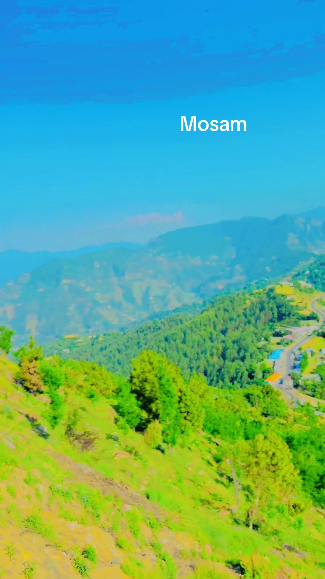 @✅💲🔛بادشاہ🔛💲✅