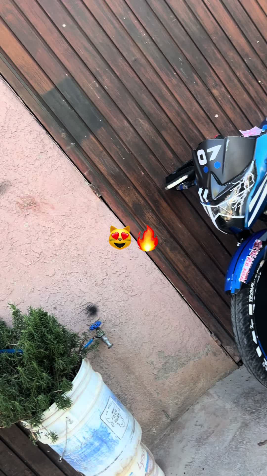 @M👸🏻❤️🩹