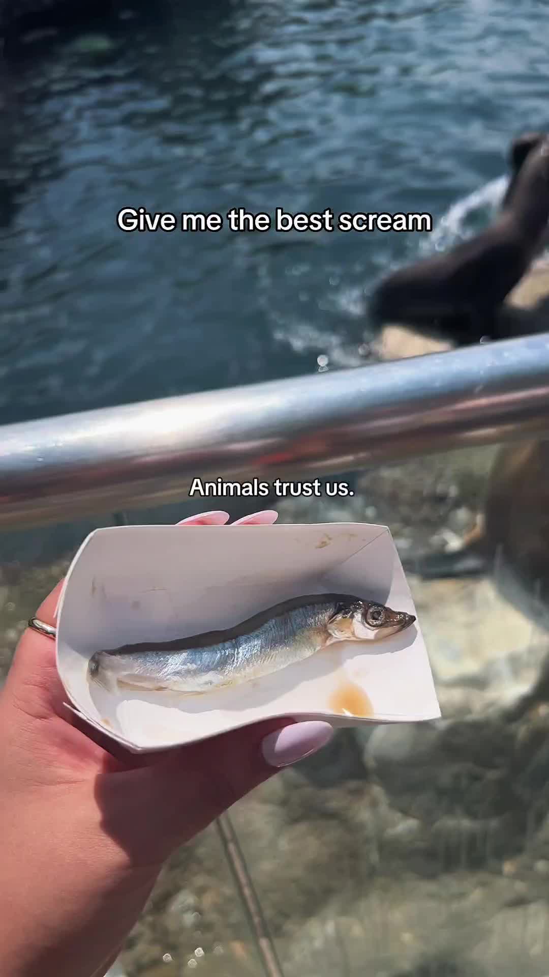 @WildwonderzZzz