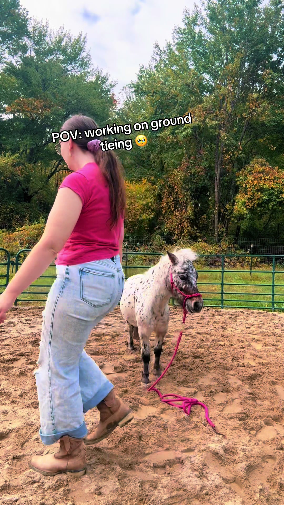 @Maxwell Farms