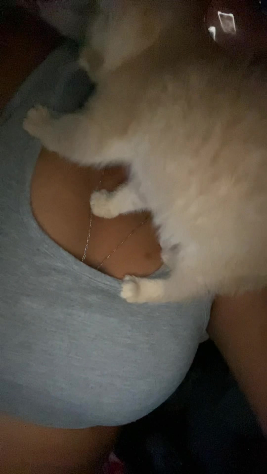 @LUVVV.ANAI