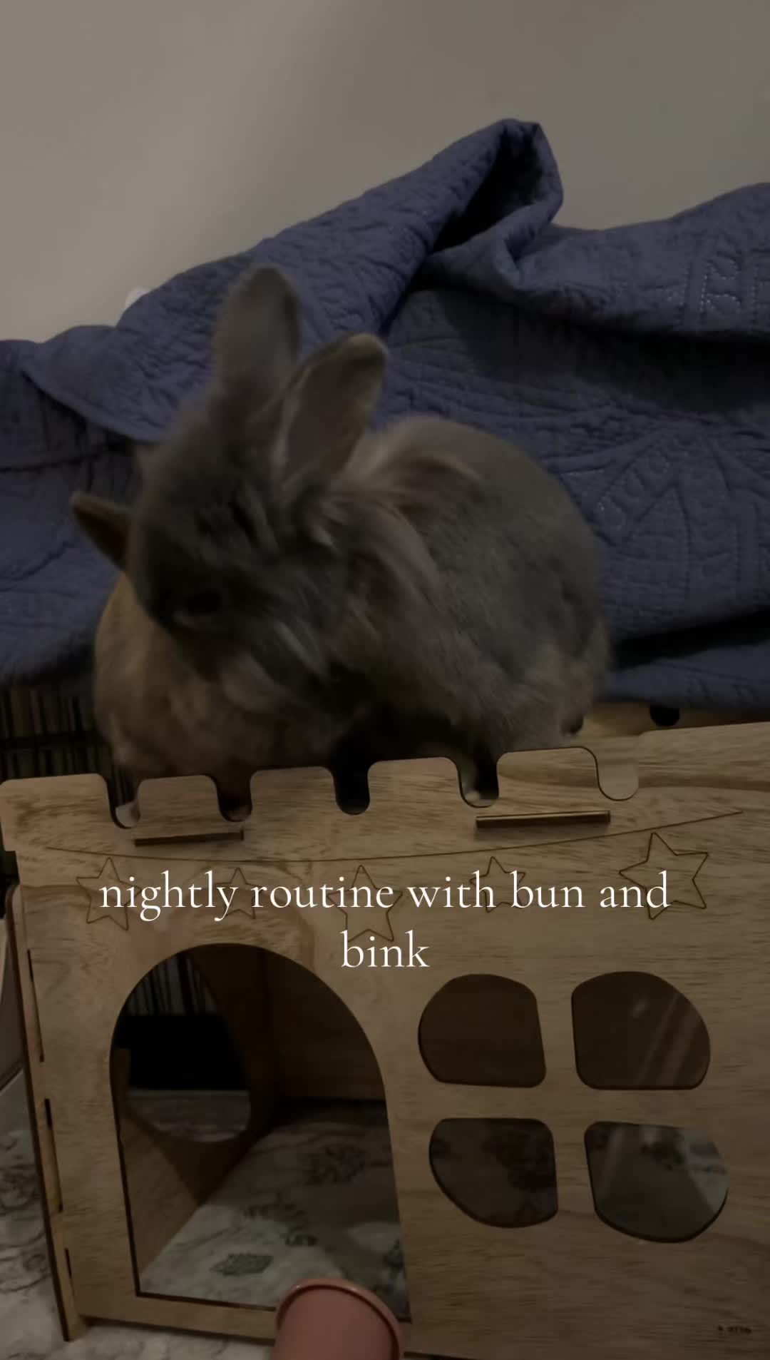 @bunbun & binky