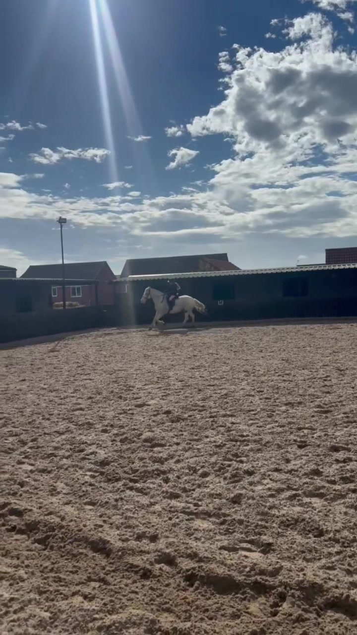 @LottiesHorseAdventures🦄🐴