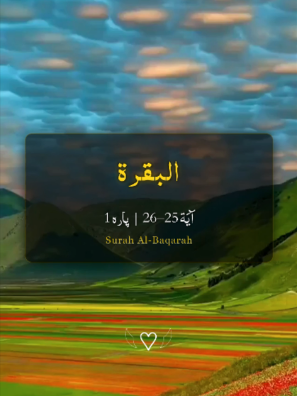 @❣️ Words of Allah ❣️