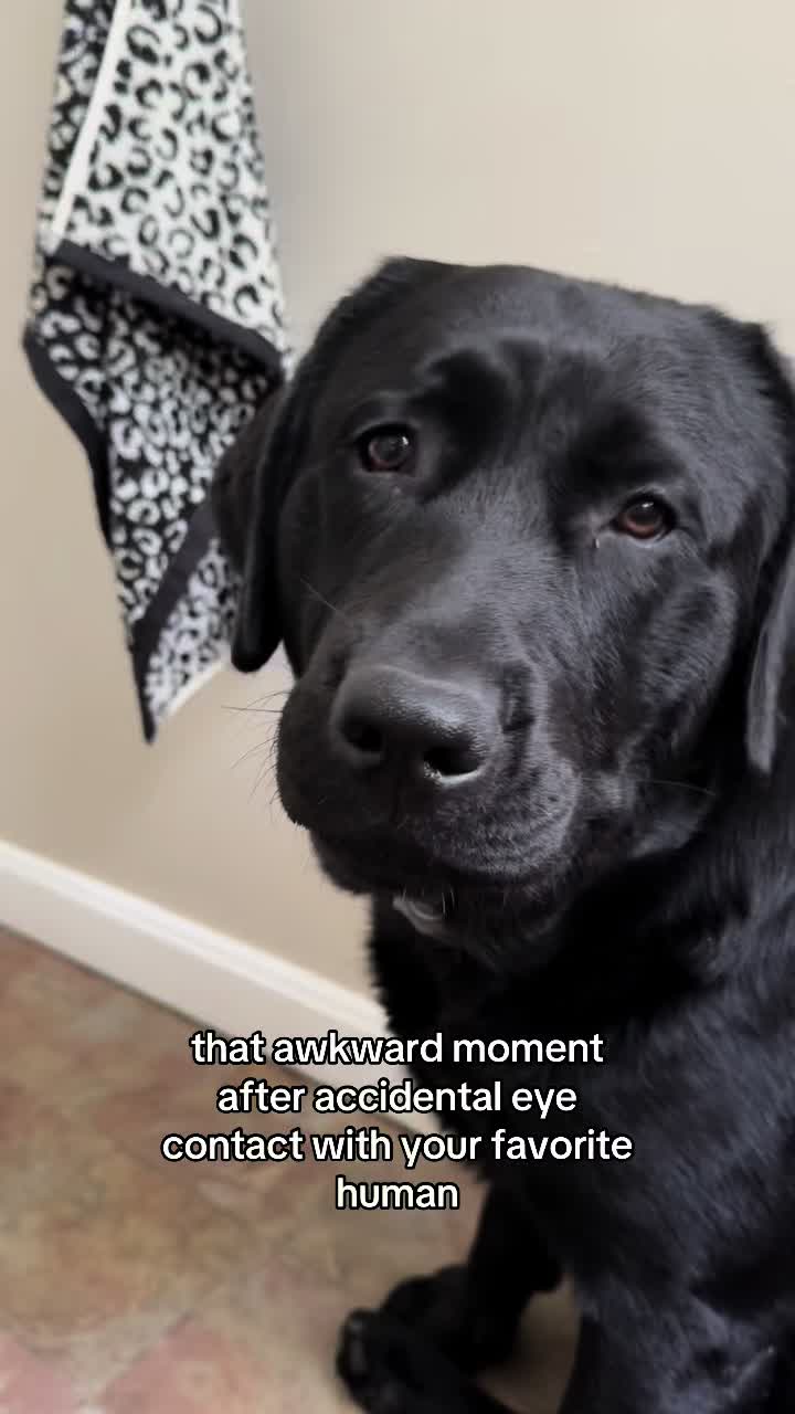 @DennisTheBlackLab