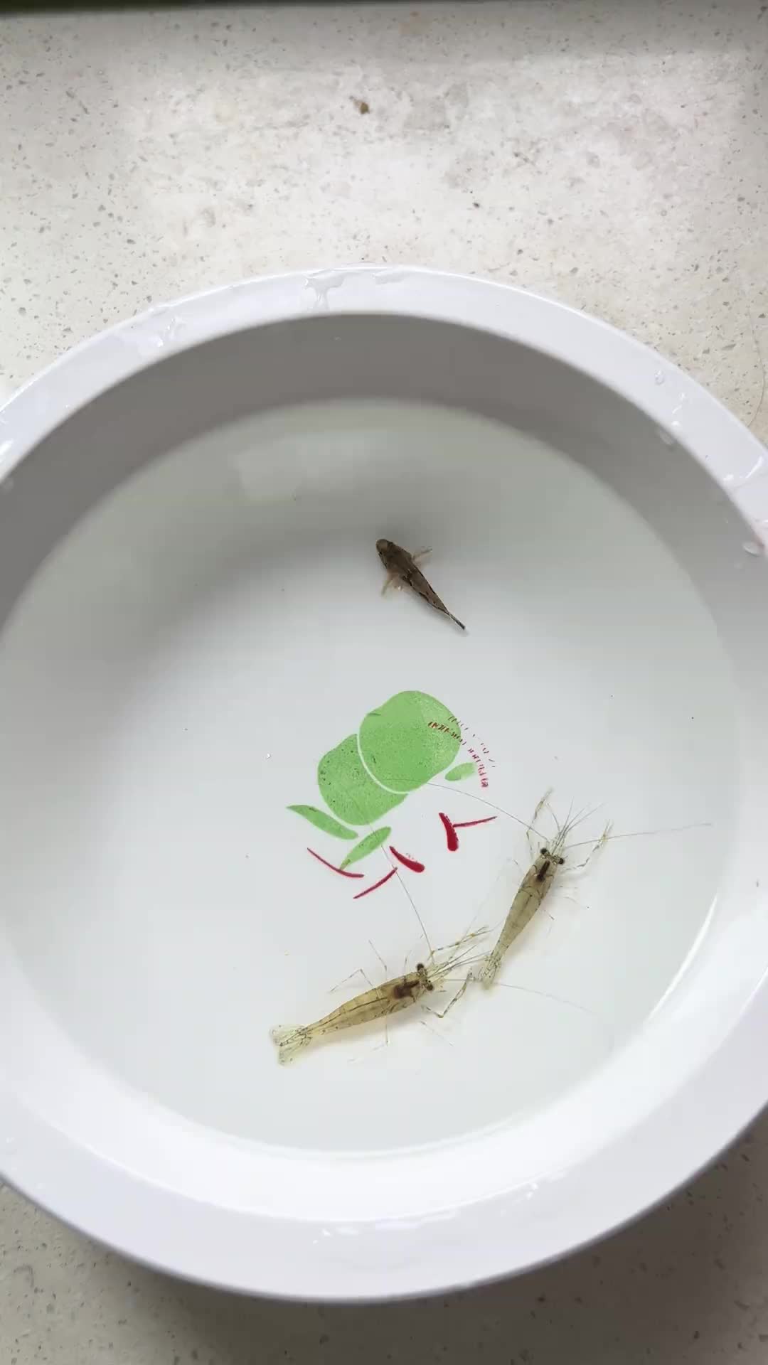 @Monsterfishkeeper
