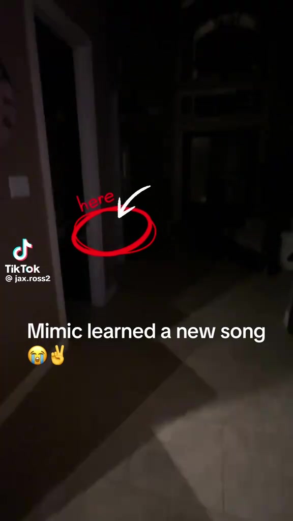 @Whizfrmdao